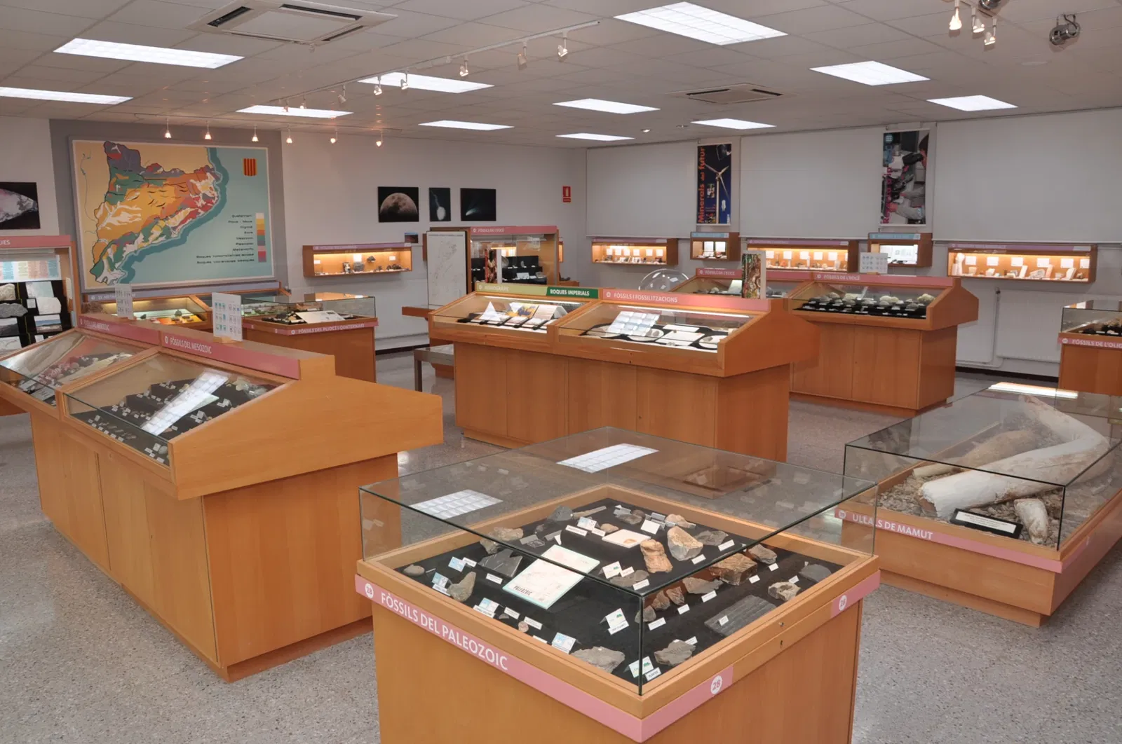 Museu de Geologia Valentí Masachs