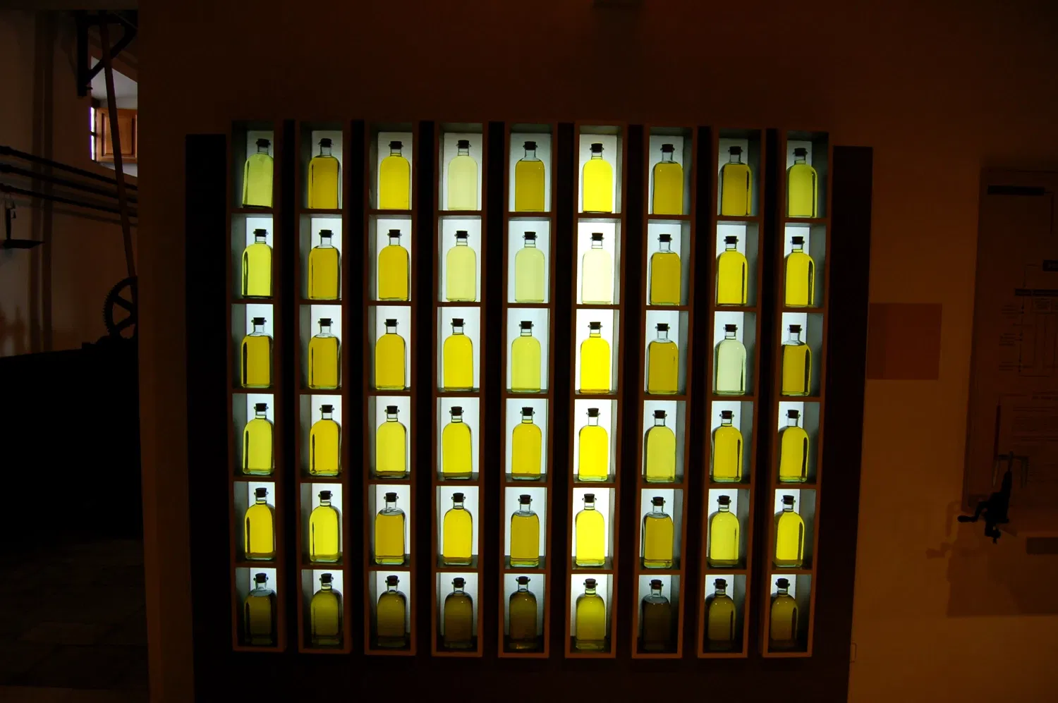 Museo del Olivar y el Aceite