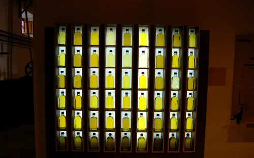 Museo del Olivar y el Aceite