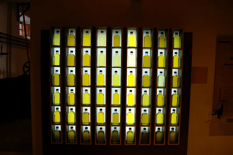 Museo del Olivar y el Aceite