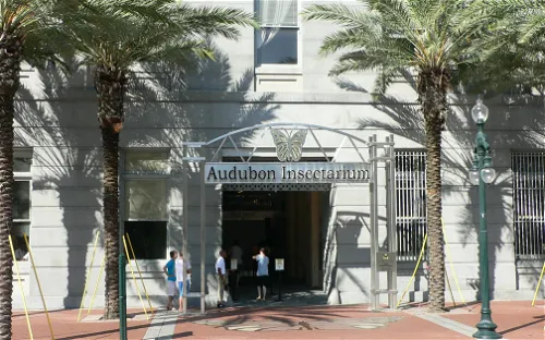 Audubon Insectarium