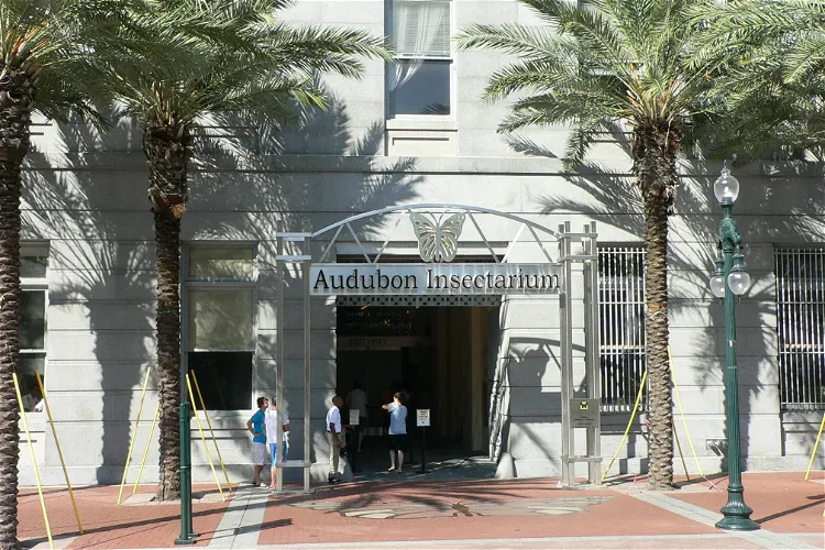 Audubon Insectarium