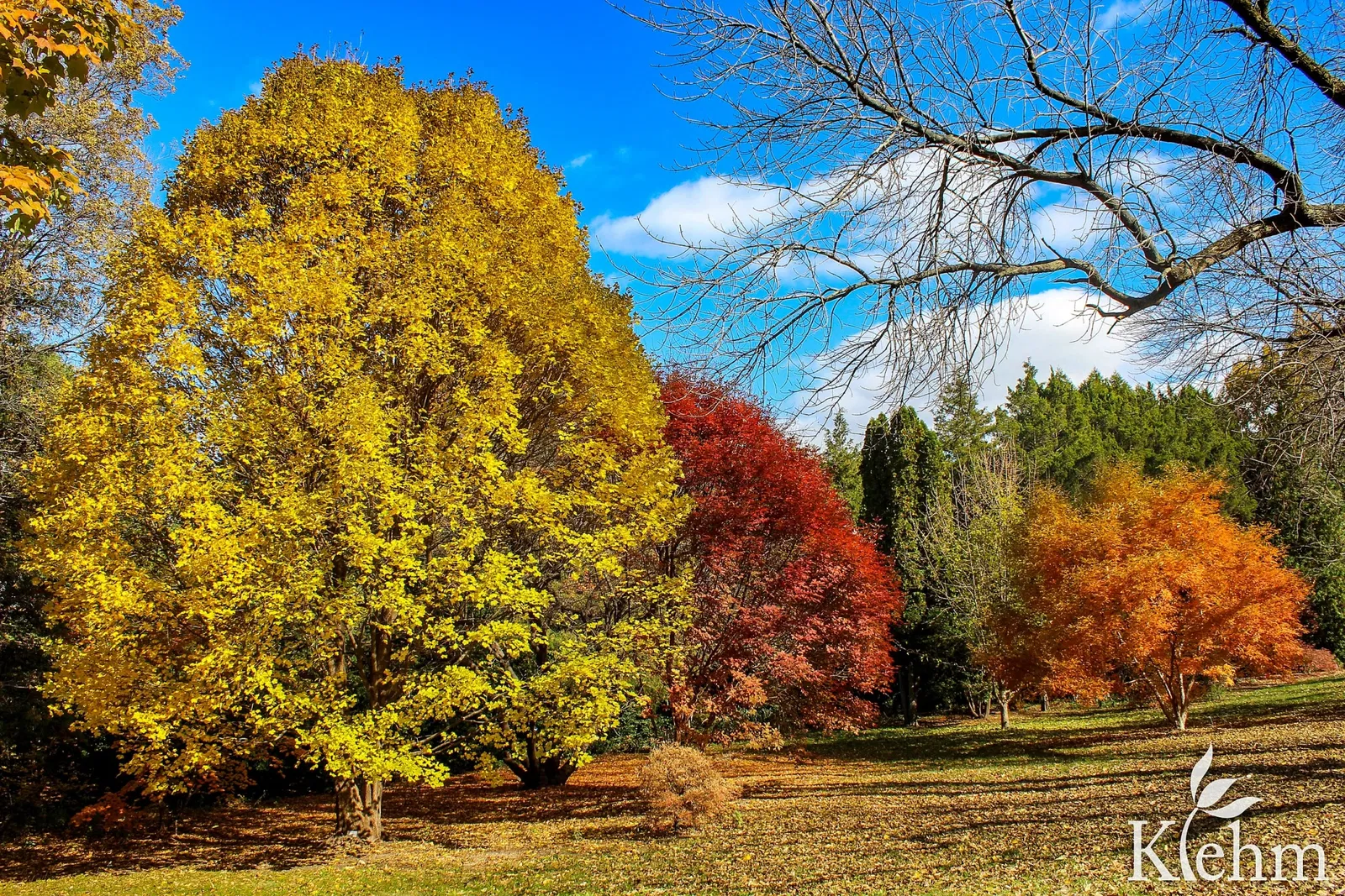 Jardín botánico y arboreto Klehm