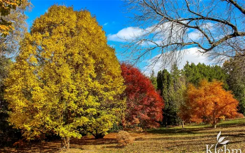 Klehm Arboretum and Botanic Garden