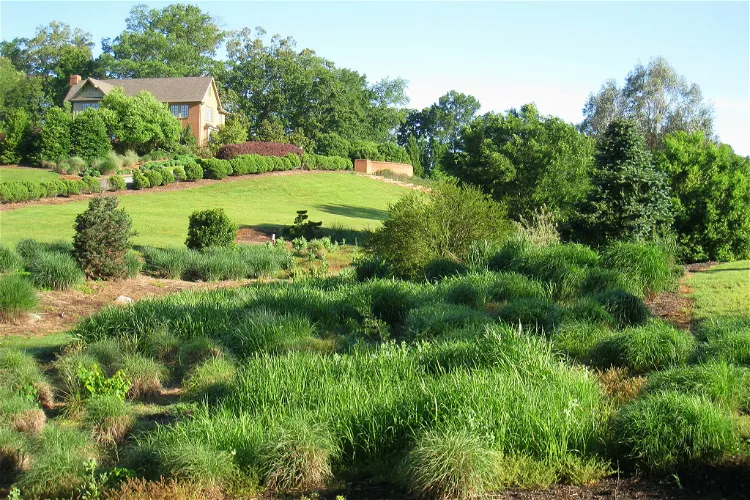 Jardín botánico de Carolina del Sur