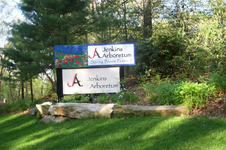 Arboreto Jenkins