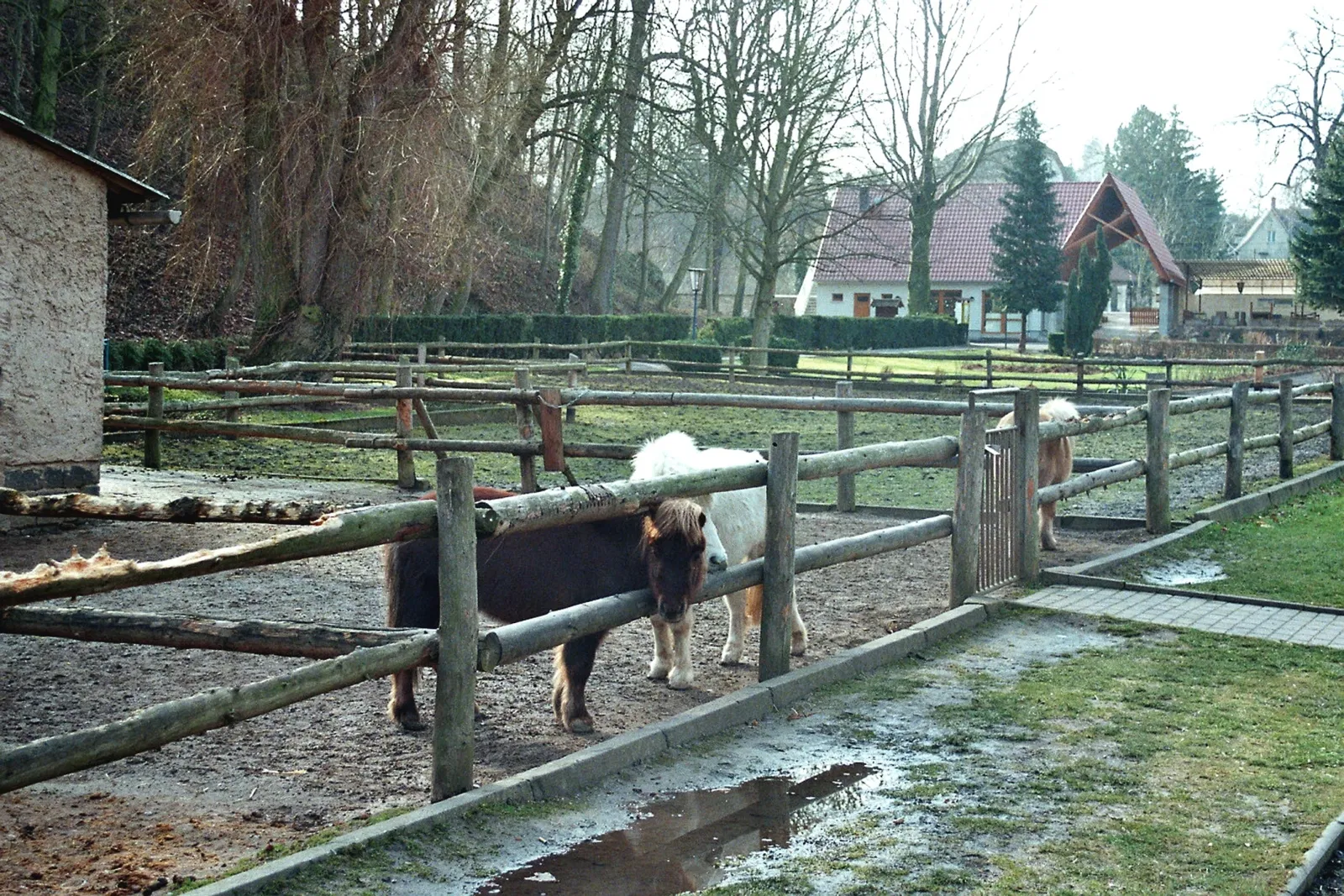 Tierpark Walbeck