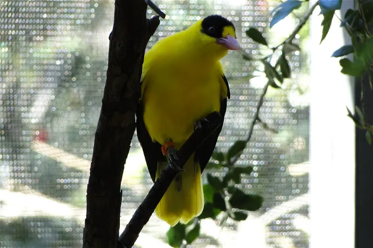 Palm Beach Zoo