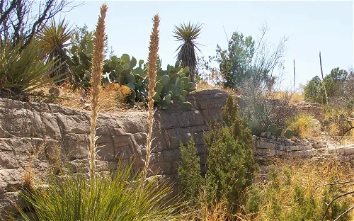 Living Desert Zoo and Gardens State Park