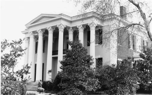 Rattle and Snap Plantation