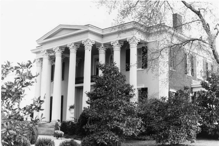 Rattle and Snap Plantation