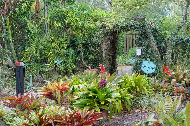 Jardín botánico Heathcote