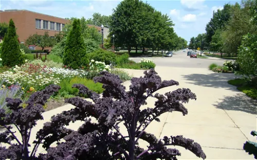 Chadwick Arboretum & Learning Gardens