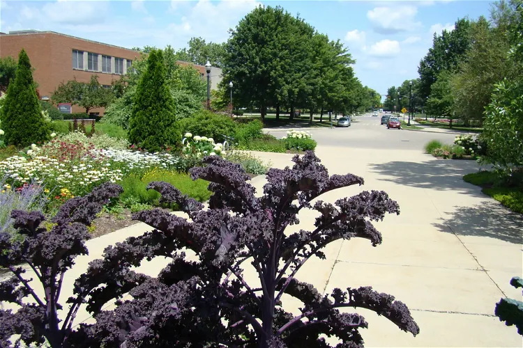 Chadwick Arboretum & Learning Gardens