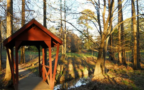Donald E. Davis Arboretum