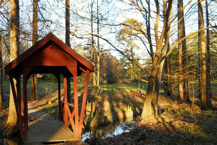 Donald E. Davis Arboretum