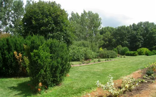 University of Illinois Arboretum