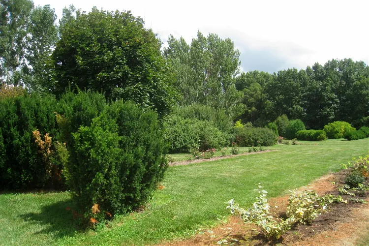 University of Illinois Arboretum