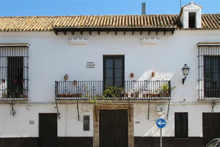 Palace of the Marquis of Ayamonte