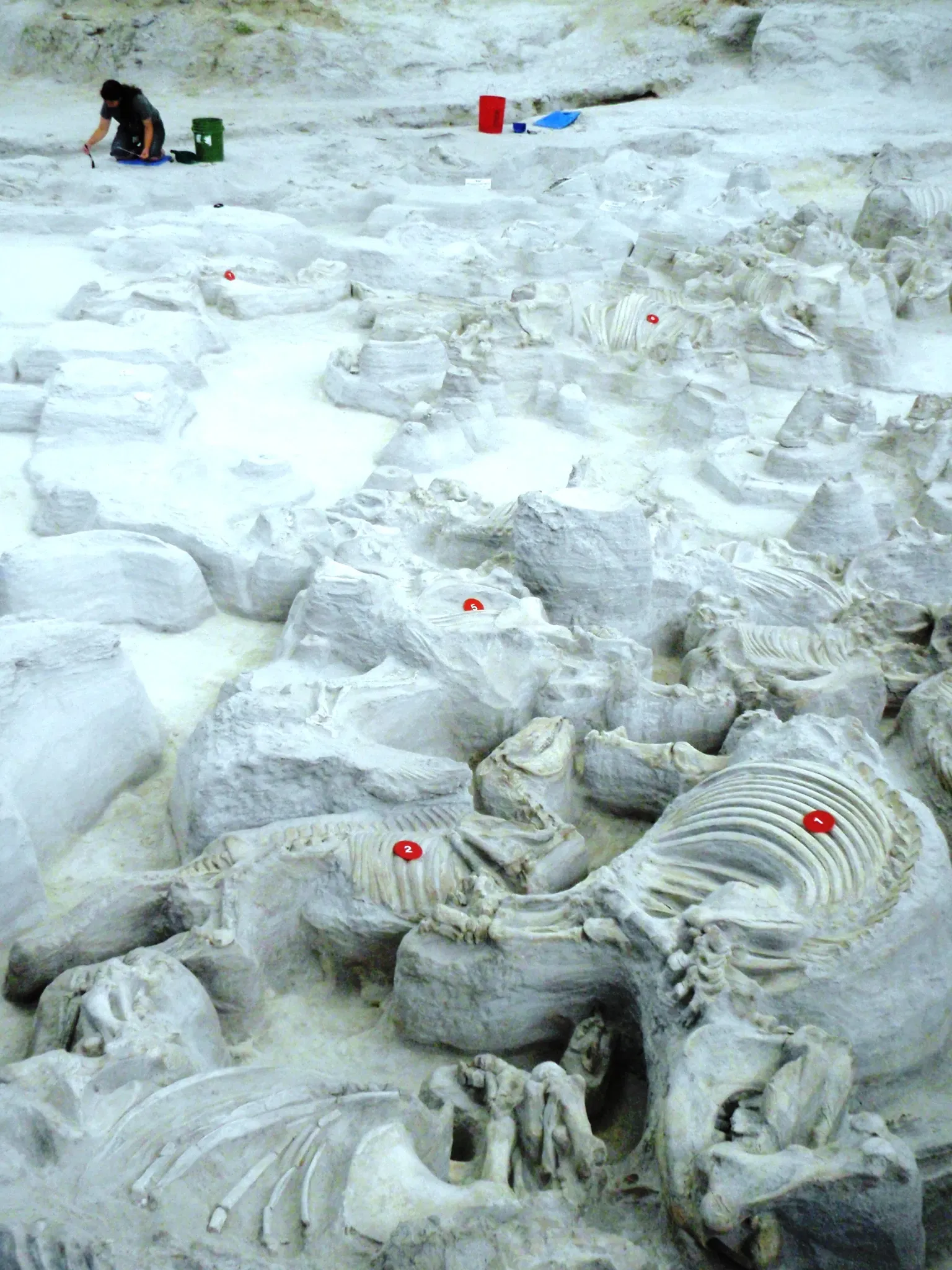 Ashfall Fossil Beds (Royal) - Visitor Information & Reviews