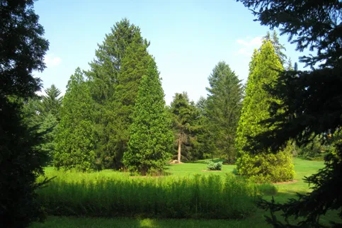 Lee and Virginia Graver Arboretum