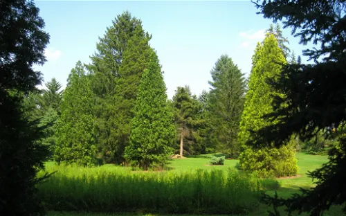 Lee and Virginia Graver Arboretum