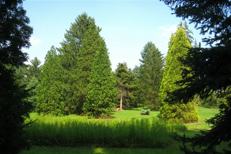 Lee and Virginia Graver Arboretum