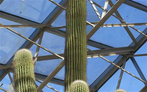 Foellinger-Freimann Botanical Conservatory