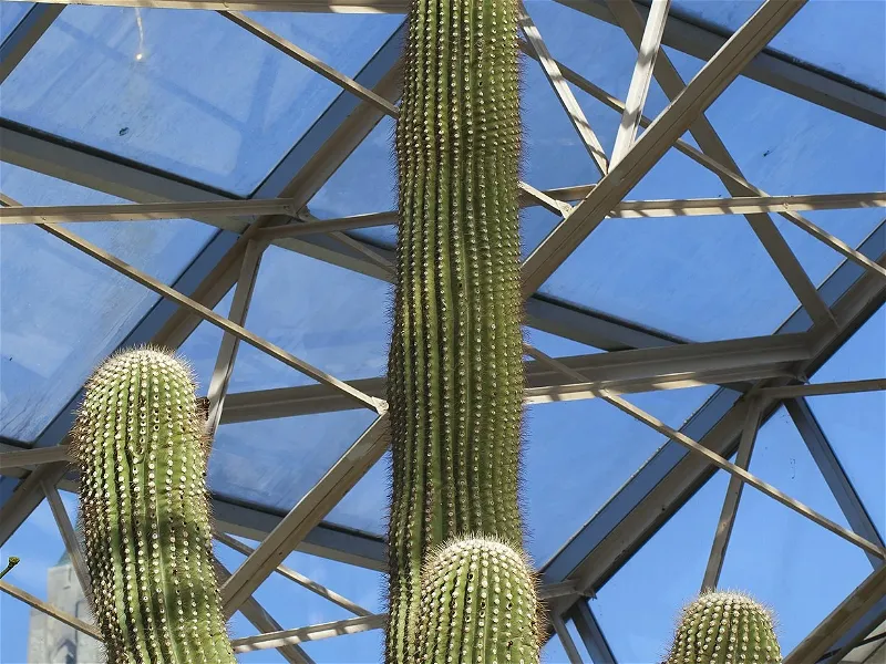 Foellinger Foellinger-Freimann Botanical Conservatory (Fort Wayne) - Informations ...