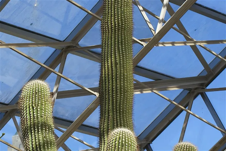 Invernadero botánico Foellinger-Freimann