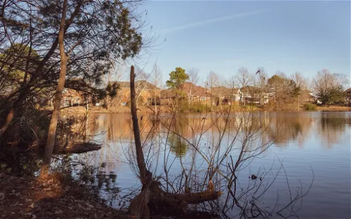 Chesapeake Arboretum