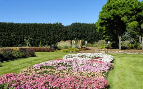 JC Raulston Arboretum