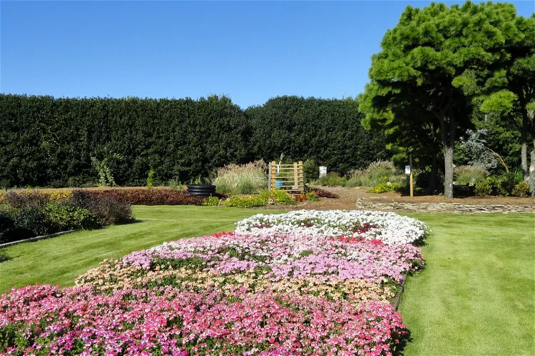 JC Raulston Arboretum