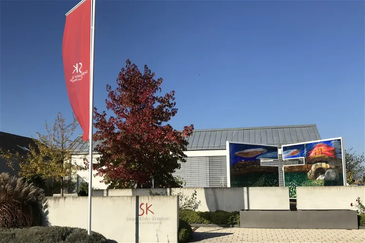 Sieger Köder-Zentrum Werk und Bibelgarten