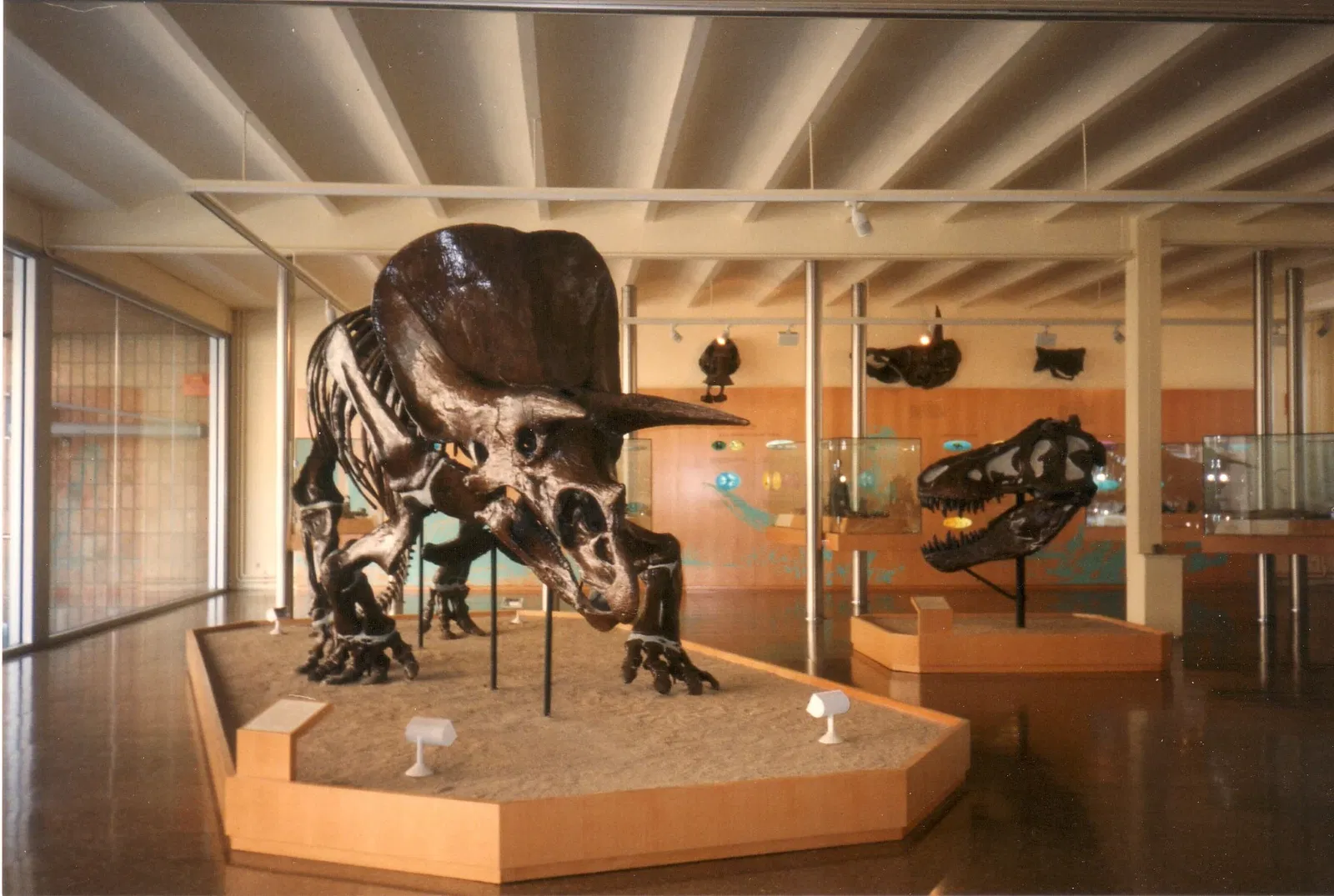 Instituto Catalán de Paleontología Miquel Crusafont