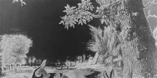 Lisa Oppenheim - Spolia