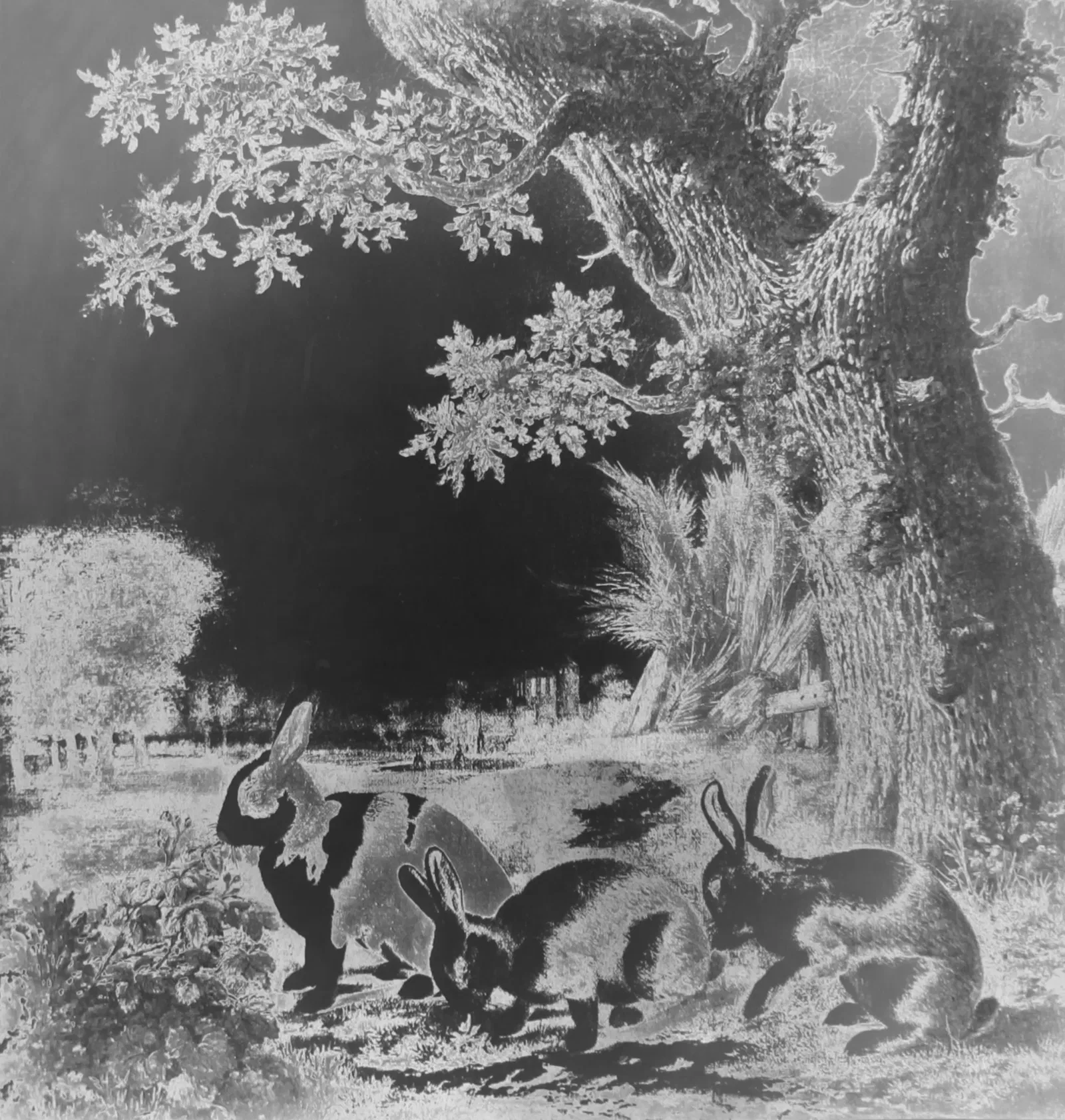 Lisa Oppenheim - Spolia