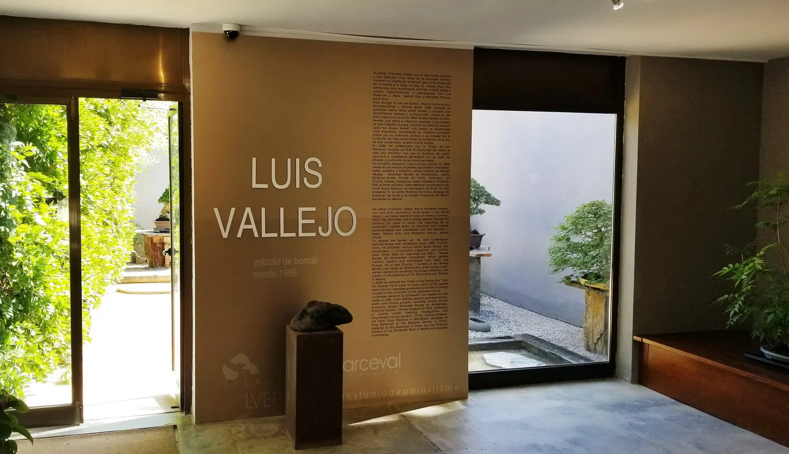 Museo Bonsái Luis Vallejo