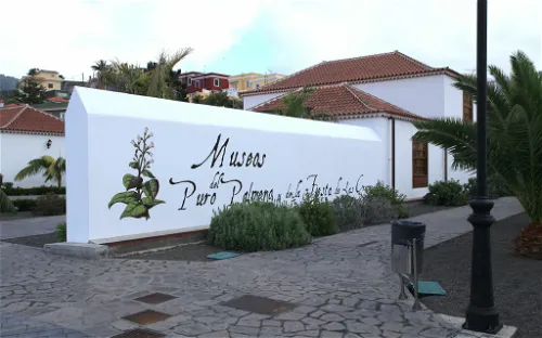 Museo del Puro Palmero