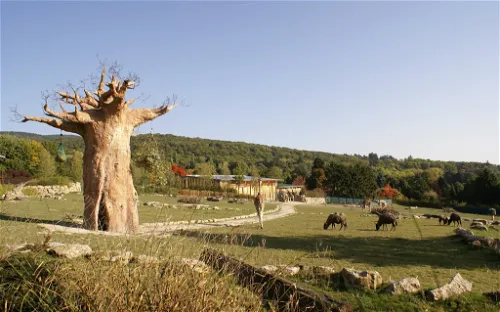 von Opel Hessische Zoostiftung