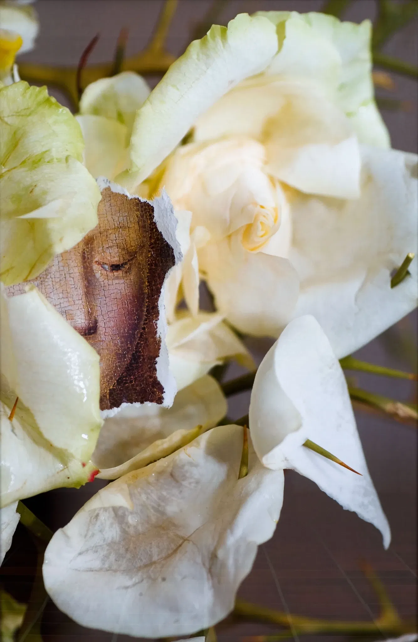 Verborgen achter Muren