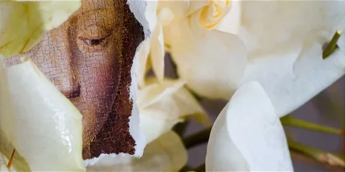 Verborgen achter Muren