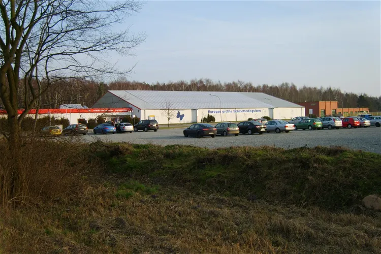 Schmetterlingsfarm
