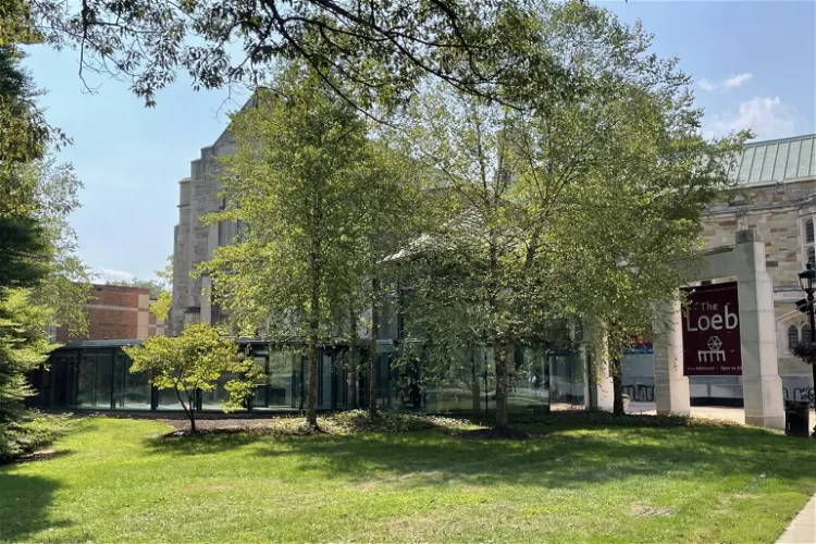 Frances Lehman Loeb Art Center