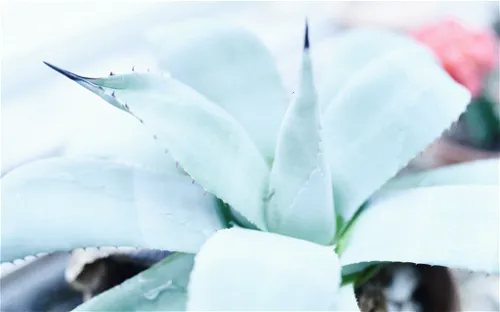 New Canaan Nature Center