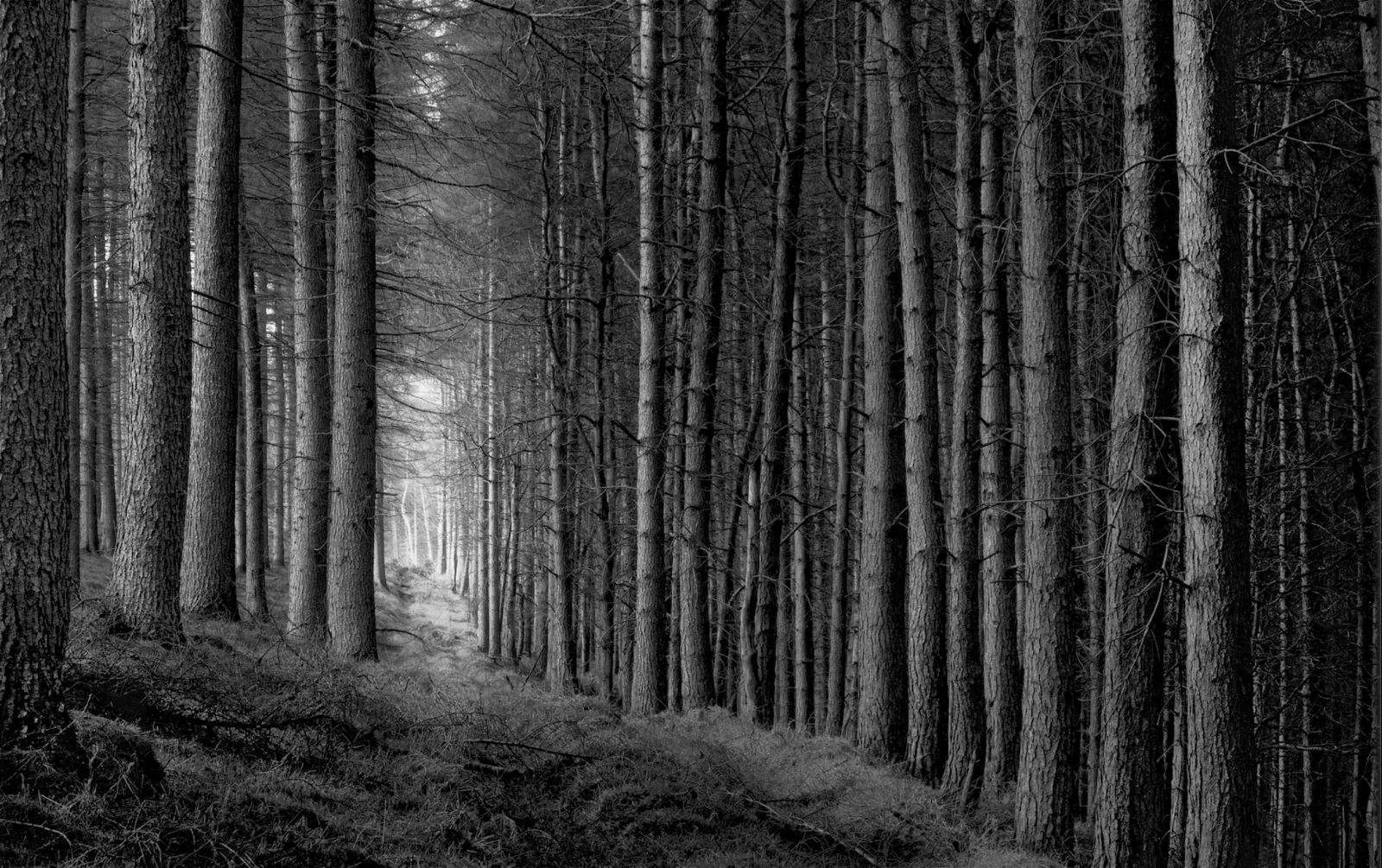 Paul Hart: Truncated