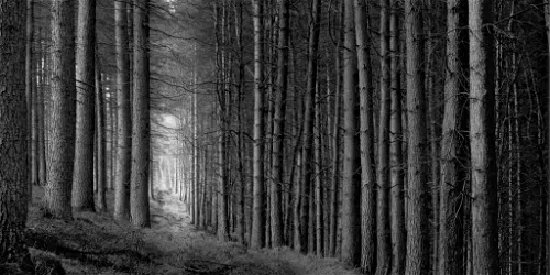 Paul Hart: Truncated