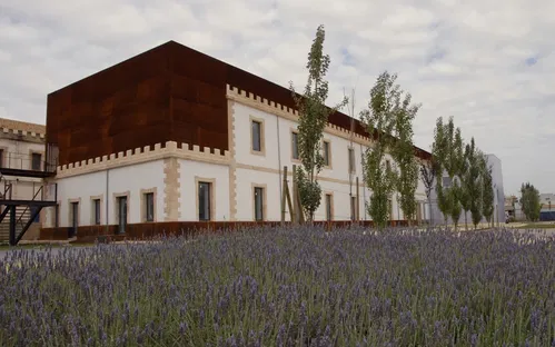 Museu del Calçat i de la Indústria