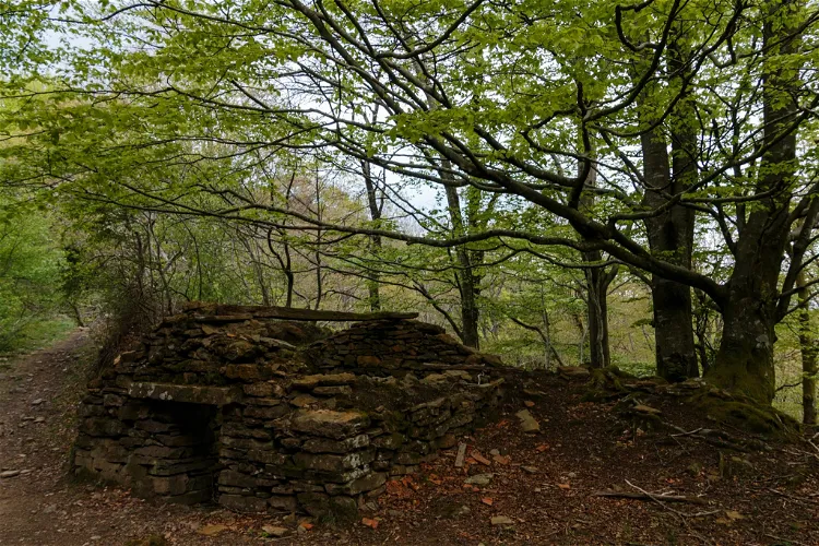 Parque Natural Armañón