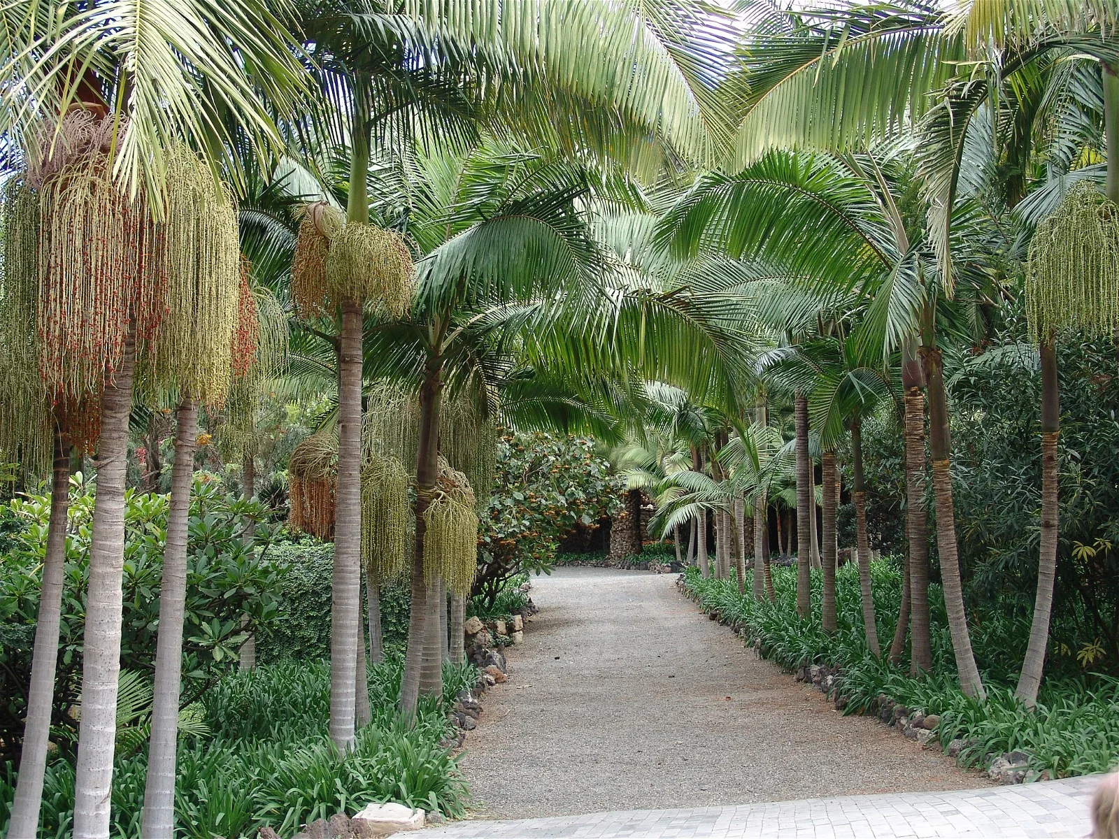 Jardín de la Marquesa